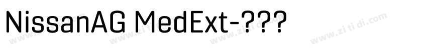 NissanAG MedExt字体转换 NissanAG MedExt字体转换